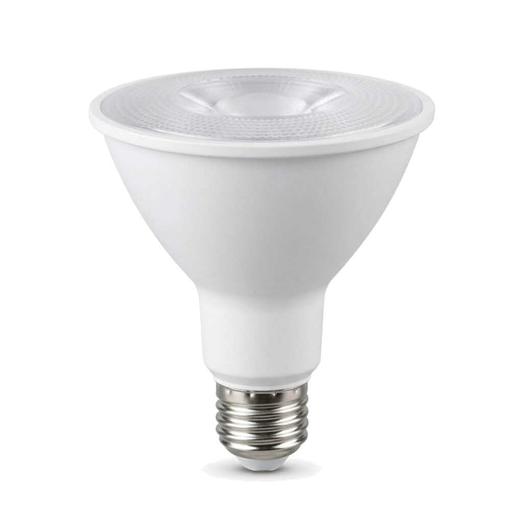 Foco LED PAR30 12W luz blanca